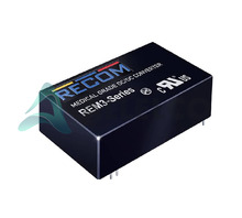 REM3-4824SW/A/CTRL Image