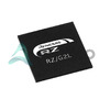 R9A07G044C22GBG#AC0