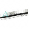 PTC26SGBN